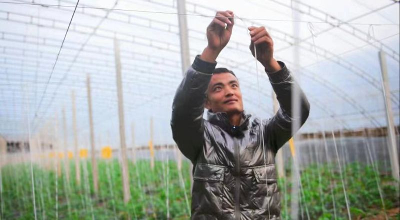 救災(zāi)應(yīng)急貸2